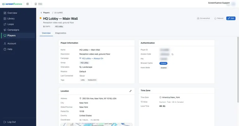 A player's Overview tab